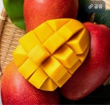 [토스] 애플망고 4kg 8수 (37,400원/무료) - 뽐뿌:뽐뿌게시판 [토스] 애플망고 4kg 8수 (37,400원/무료)