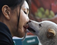 #김건희,#개,#뽀뽀 - 뽐뿌:짤방갤러리 #김건희,#개,#뽀뽀