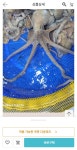[남도장터]목포무안 뻘낙지 5마리(23,560원/무배) - 뽐뿌:뽐뿌게시판 [남도장터]목포무안 뻘낙지 5마리(23,560원/무배)