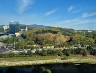 6조2천억 투자. 분당 백현 마이스 벌목 시작 - 뽐뿌:부동산포럼 6조2천억 투자. 분당 백현 마이스 벌목 시작