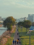 대전 유등천 풍경 jpg - 뽐뿌:자유게시판 대전 유등천 풍경 jpg