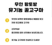 [지마켓] 무안 유기농 꿀고구마 특상 5kg (13,970원/무배) - 뽐뿌:뽐뿌게시판 [지마켓] 무안 유기농 꿀고구마 특상 5kg (13,970원/무배)