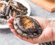 [남도장터] 전복1kg 4~6미 (15,240원/무료) - 뽐뿌:뽐뿌게시판 [남도장터] 전복1kg 4~6미 (15,240원/무료)