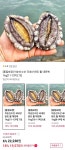 [11번가] 국내산 완도 활 대전복 1kg 11-12미 (19,570원/무배) - 뽐뿌:뽐뿌게시판 [11번가] 국내산 완도 활 대전복 1kg 11-12미 (19,570원... 
