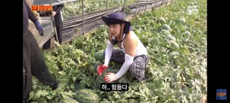 수박 농장일 하고 뻗은 이준 - 뽐뿌:자유게시판  수박 농장일 하고 뻗은 이준