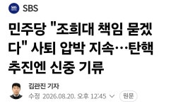 민주당 