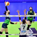 블로킹 따돌리는 이다현[포토] - 뽐뿌:스포츠뉴스 블로킹 따돌리는 이다현[포토]