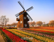 순천만국가정원, 2022 ‘한국관광의 별’ 본상 - 뽐뿌:뉴스게시판 순천만국가정원, 2022 ‘한국관광의 별’ 본상