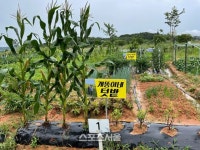 전남농업박물관, 주말농장 분양 대폭 확대 - 뽐뿌:뉴스게시판 전남농업박물관, 주말농장 분양 대폭 확대