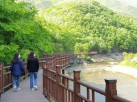 “암튼 걷는 겨”…충북 영동 월류봉 둘레길 27, 28일 걷는다 - 뽐뿌:뉴스게시판 “암튼 걷는 겨”…충북 영동 월류봉 둘레길 27, 28일 걷는다