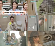 ‘펫대로하우스’ 박이안, 사고뭉치 라쿤과 행복한 동거기 공개 [TV알리미] - 뽐뿌:방송/연예뉴스 ‘펫대로하우스’ 박이안, 사고뭉치 라쿤과... 