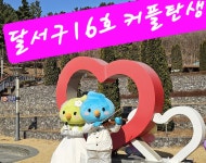 대구 달서구, 만남 프로그램 통해 ‘16호 성혼커플’ 탄생 - 뽐뿌:뉴스게시판 대구 달서구, 만남 프로그램 통해 ‘16호 성혼커플’ 탄생