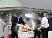 국회 벌꿀 수확하는 날...튀르키예 기부 [TF사진관] - 뽐뿌:정치/경제뉴스  국회 벌꿀 수확하는 날...튀르키예 기부 [TF사진관]