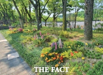 서울 곳곳 채우는 매력·동행가든…일상 속 도심정원 - 뽐뿌:사회/문화뉴스  서울 곳곳 채우는 매력·동행가든…일상 속 도심정원