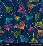 Ginkgo biloba leaves Royalty Free Vector Image Ginkgo biloba leaves vector image on VectorStock