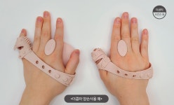 멍이냥이 교감하며 빗질하자! [그루밍 털제거 브러시] 목욕부터 털관리까지
