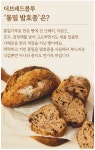 [통밀발효종빵] 가성비 4개 세트 구성! 더브레드블루 비건빵