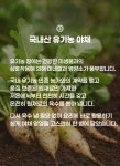 [양념장] 주황빛 명품소스 워킹맘이 300일간 숙성하여 만든 프리미엄 소스