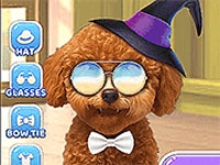 Pet Salon 2 - Y8.com 에서 플레이하기
