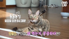 곰TV - All About Video