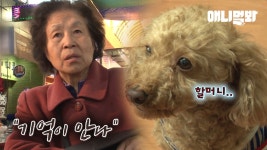 곰TV - All About Video