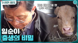 곰TV - All About Video