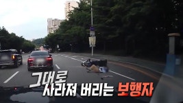 자동차 전용도로에 나타난 보행자! 대책 마련은 어떻게? - 곰TV