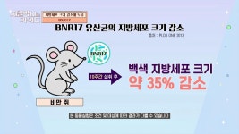 곰TV - All About Video
