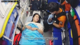 영농형 태양광으로 농작물 피해를 막은 프랑스의 살구 농장 | JTBC 230531 방송 - 곰TV