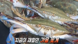 곰TV - All About Video