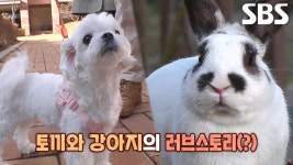 실시간 인기 - 곰TV