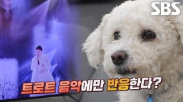 곰TV - All About Video