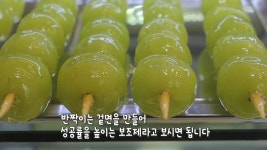 곰TV - All About Video