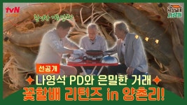 실시간 인기 - 곰TV