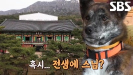 곰TV - All About Video
