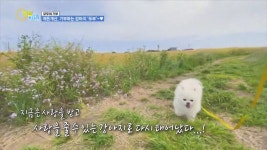 특별한 여름휴가 - 템플 스테이 - 곰TV  특별한 여름휴가 - 템플 스테이  - 곰TV