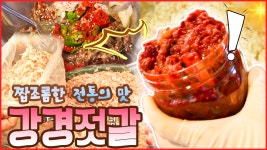 곰TV - All About Video