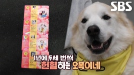 곰TV - All About Video