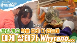 대게 다리를 바짝 말려서 먹는다고? 바삭 바삭 포항 별미 해각포에 홀딱 반한 바달집 식구들😋 | #디글 #바퀴달린집2 - 곰TV