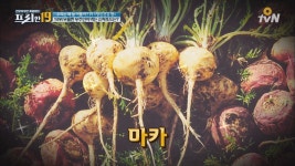 곰TV - All About Video
