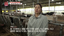 파란 눈의 전통주 소믈리에가 말하는 전통주의 현실 - 곰TV