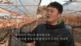 해도 해도 끝이 없는 농사일, 농사일을 대하는 태도 - 곰TV