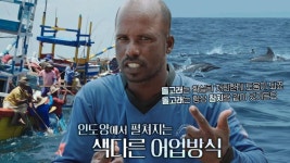 ‘8K 촬영감독’ 임완호, 새끼 혹등고래 등장에 감격! - 곰TV