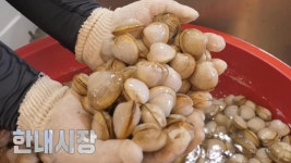 곰TV - All About Video