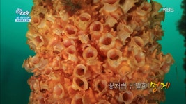 곰TV - All About Video