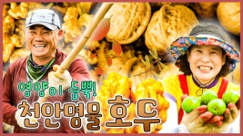 천안의 명물! 호두 한 알에 영양이 듬뿍 - 곰TV