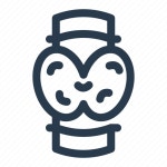 Thymus, health, anatomy, organ, medical, body, human anatomy icon - Download on Iconfinder