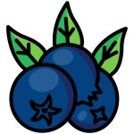 Berries, berry, blue berries, cranberries, food, fruit icon - Free download