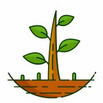 제이와이티앤씨 | Forest, leaf, nature, plant, tree icon - Download on Iconfinder