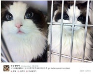 고양이상 여자가 예쁜 이유.jyp - 뽐뿌:자유게시판 고양이상 여자가 예쁜 이유.jyp